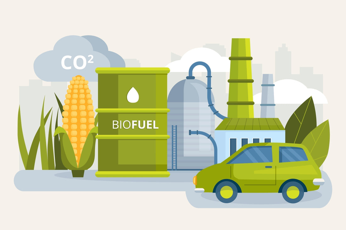 Biofuels: A Cleaner Alternative to Fossil Fuels?