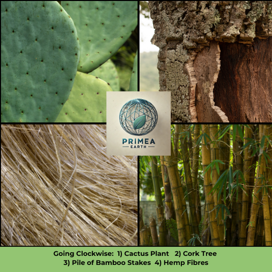 Plant-Based Technology: Revolutionizing Manufacturing with Nature’s Finest