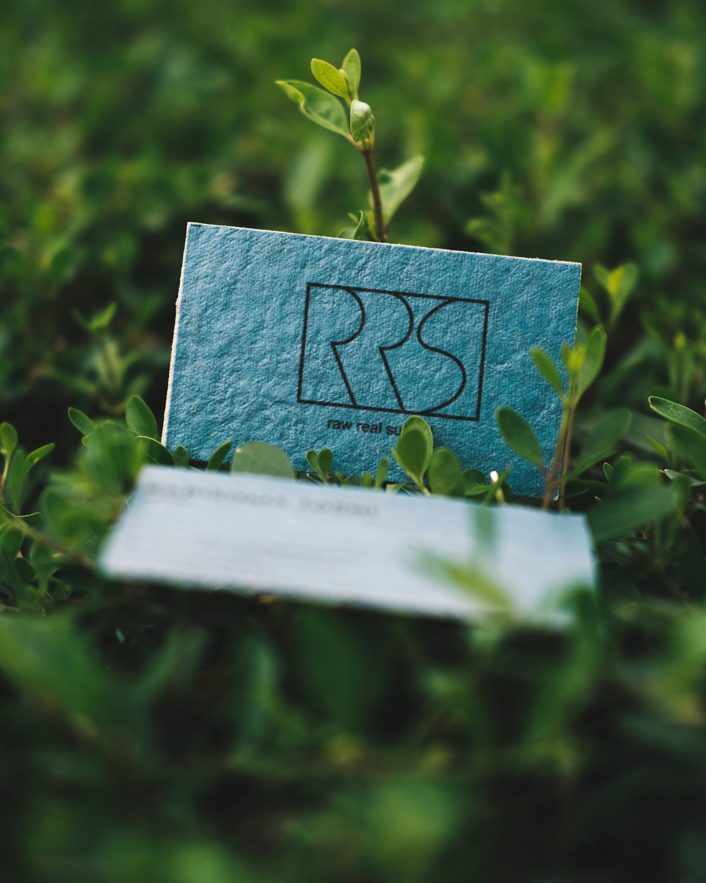 OG Hemp - Business Cards (300 GSM)